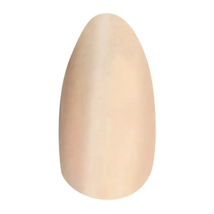 Almond Allure - Image 6