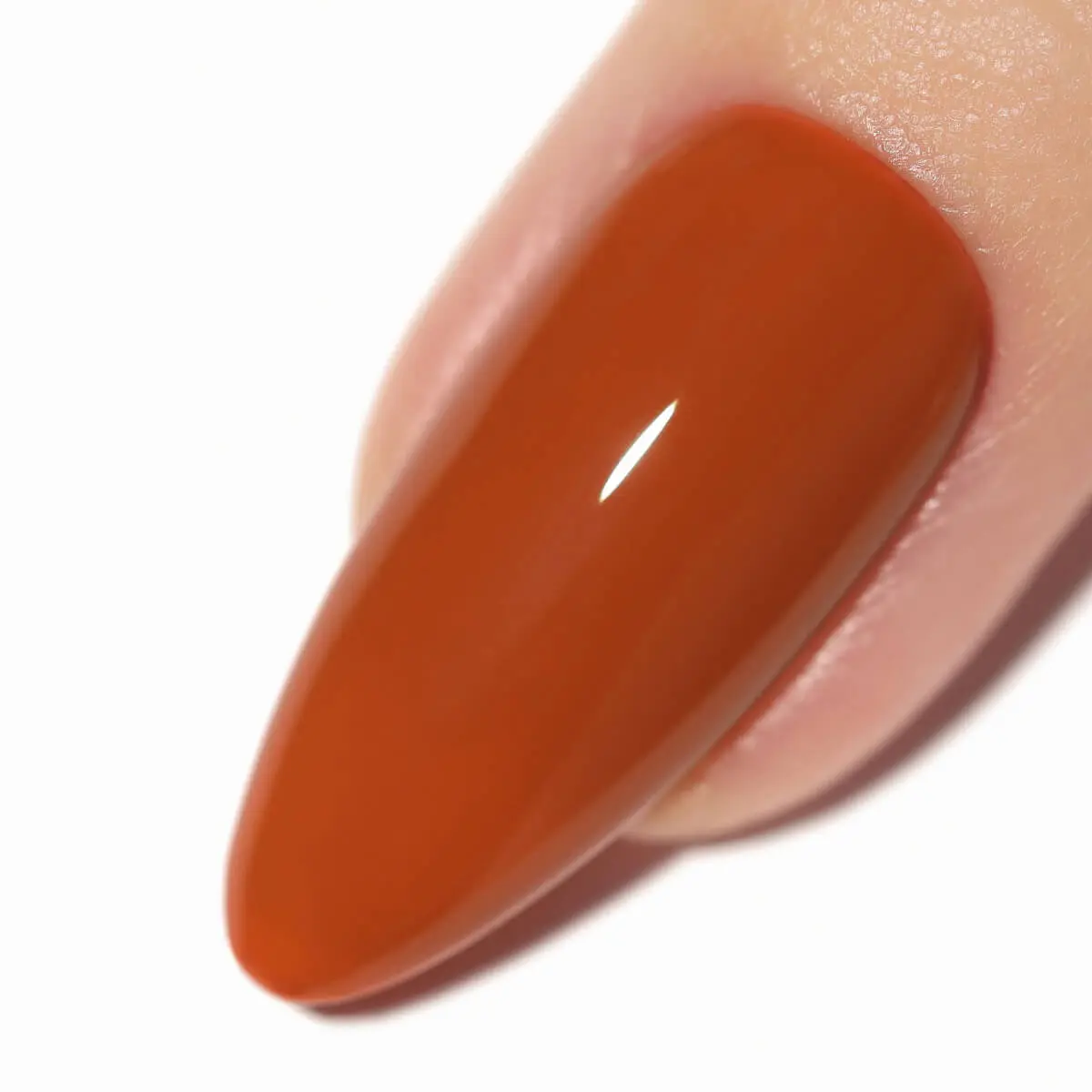 Amber Blaze Gel - Image 6