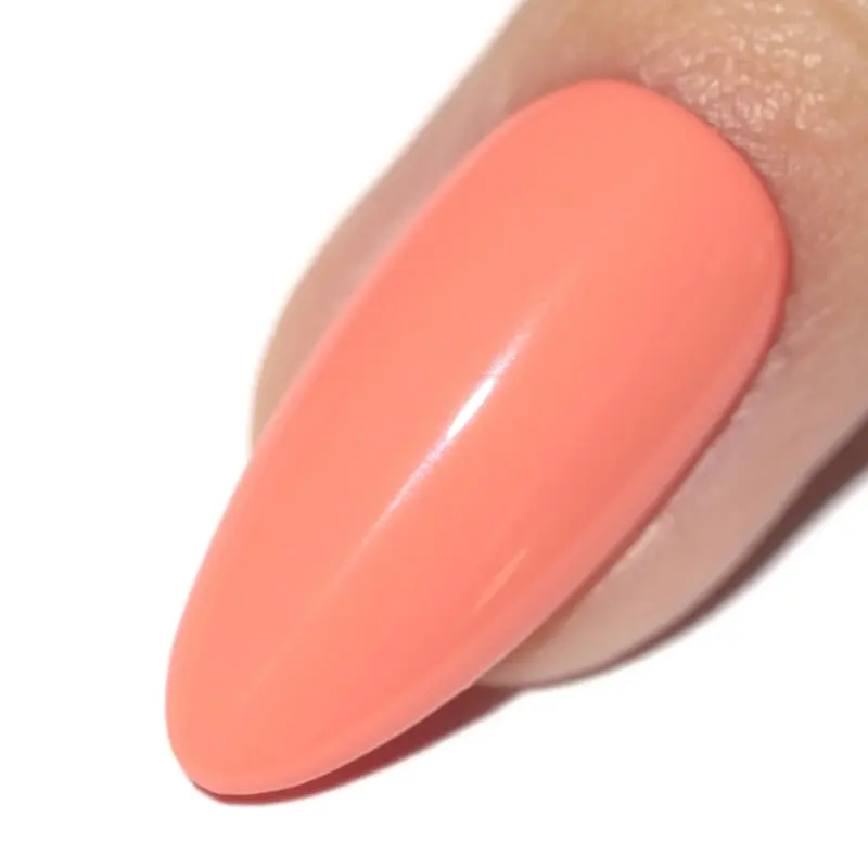 Bikini Blush Gel - Image 4
