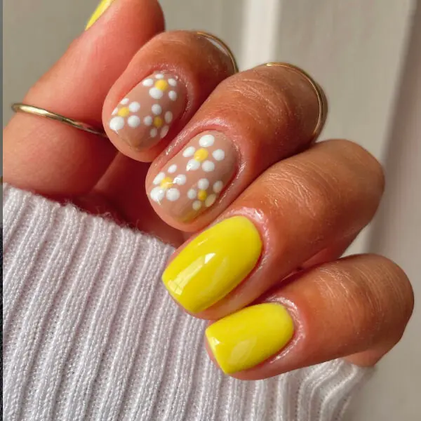 Daisy Days - Image 5