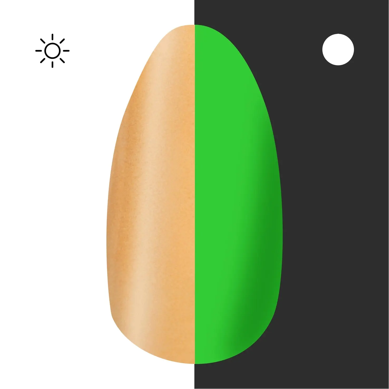 Fine and Sandy (glow) - Image 5