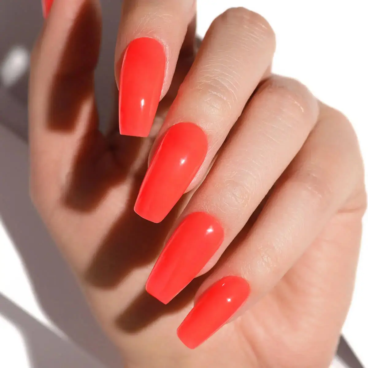 Hot Tropics - Image 5