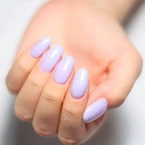 Lilac Attack - Image 6