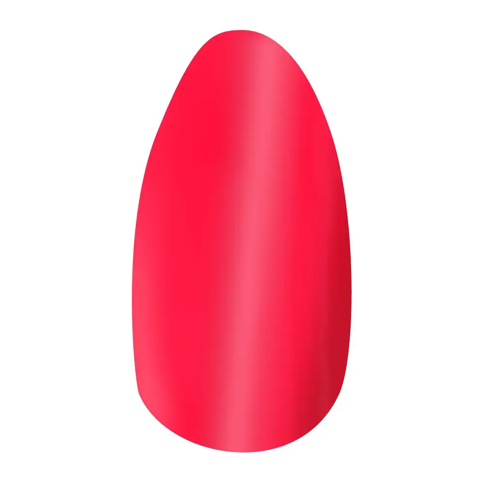 Pop Star - Image 7
