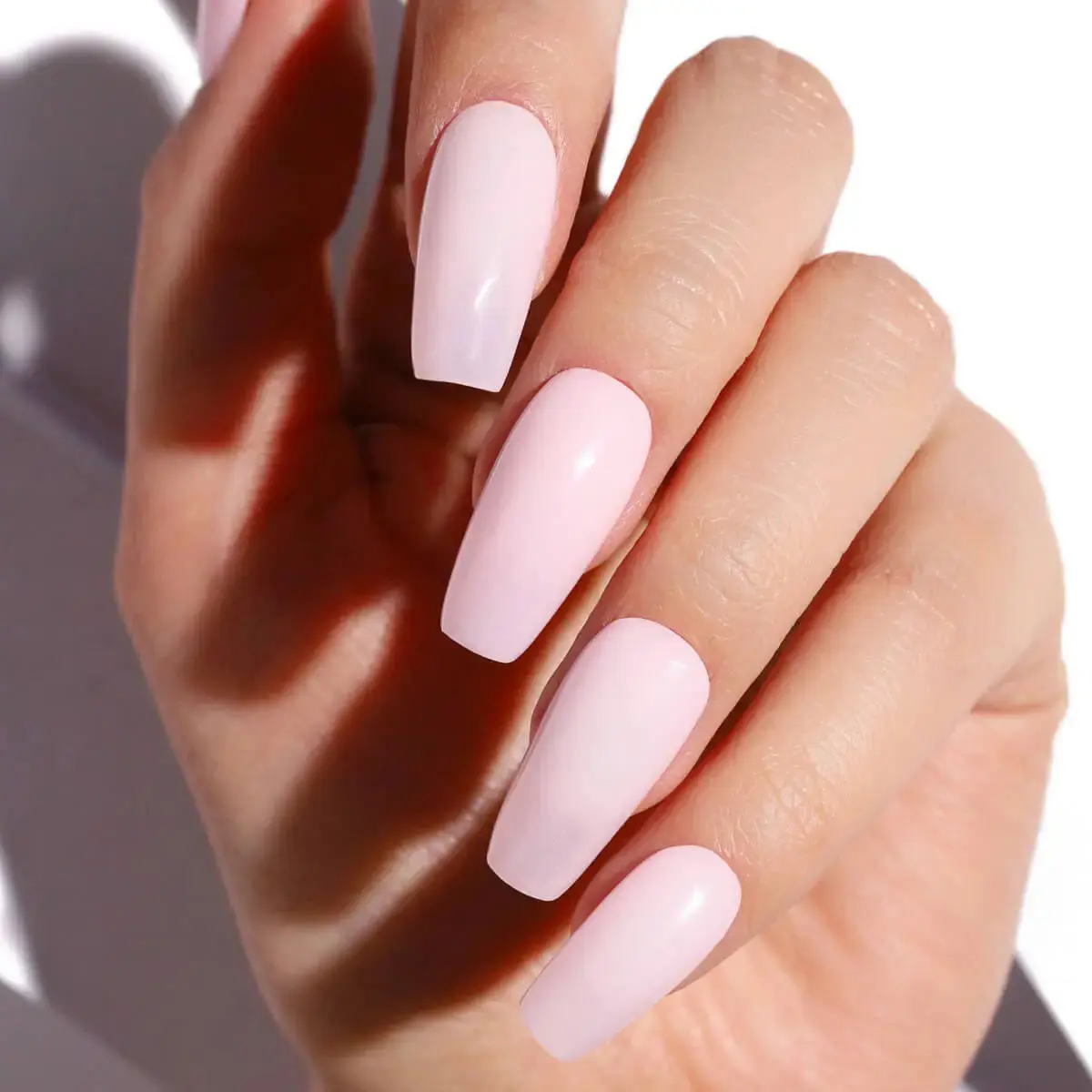 Pretty Petal - Image 9